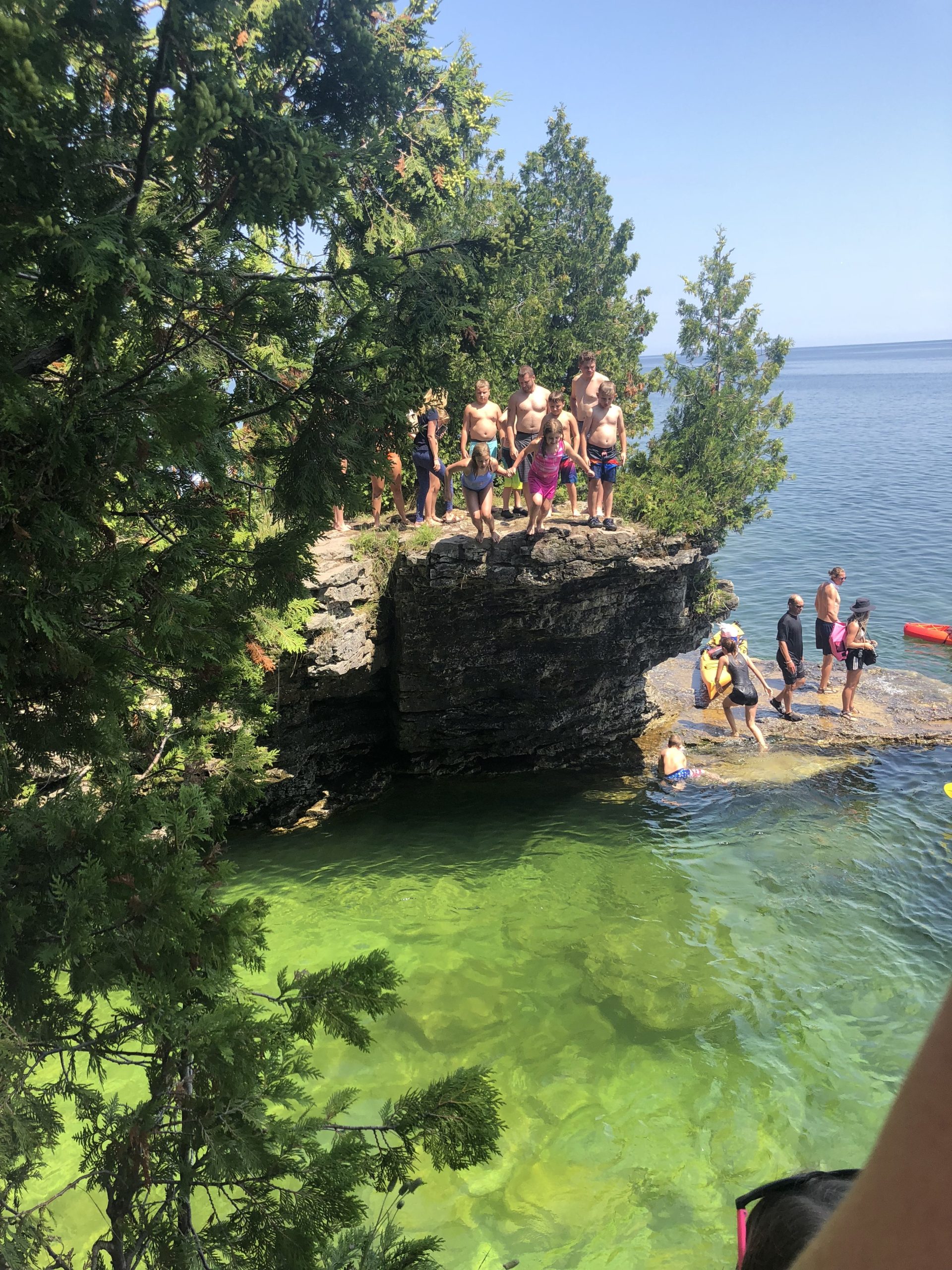 If friends jumped off a cliff, would you follow?
