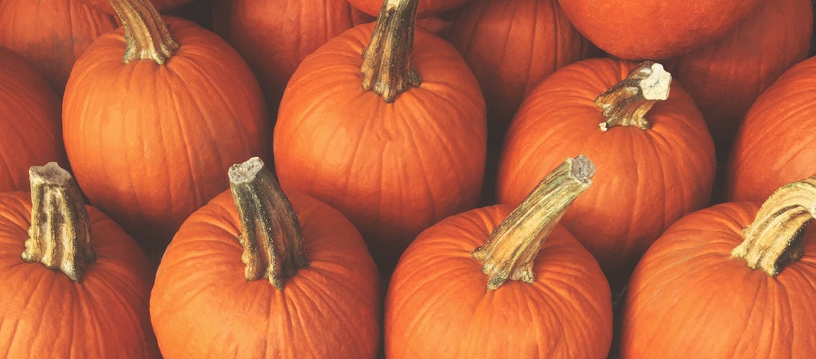 Pumpkin Spice Estate Plan